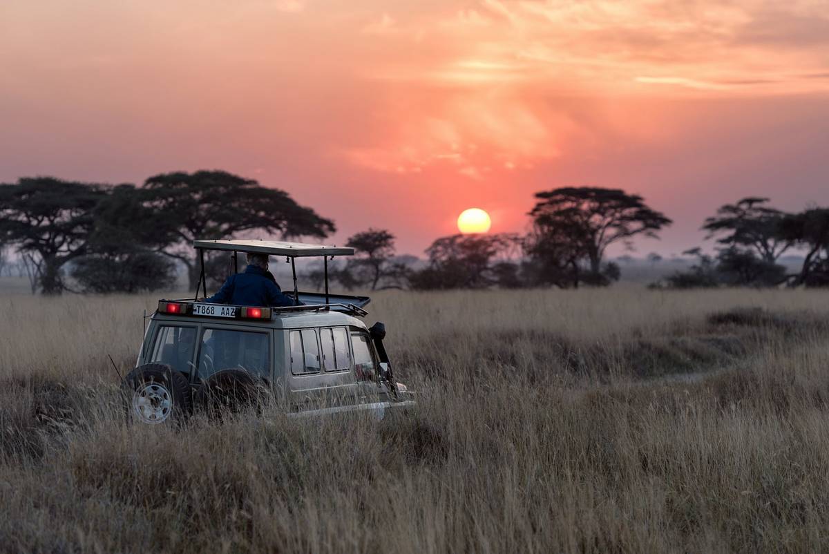 Safari vehicle in golden grass at sunset in East Africa